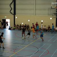 IMG_6781.jpg