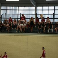 IMG_6937.jpg
